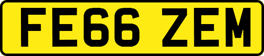 FE66ZEM