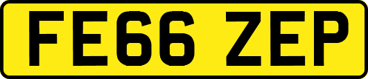 FE66ZEP