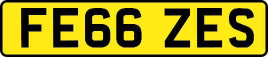 FE66ZES
