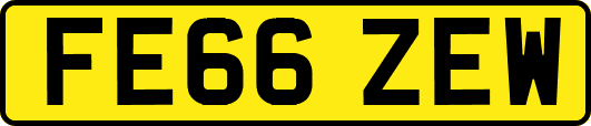 FE66ZEW