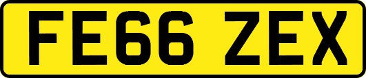 FE66ZEX