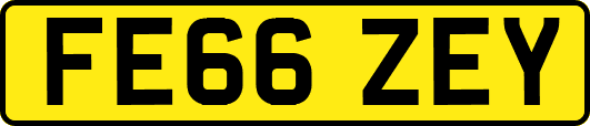 FE66ZEY