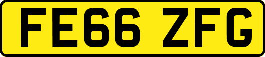FE66ZFG