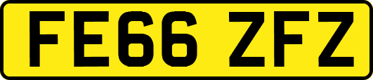 FE66ZFZ