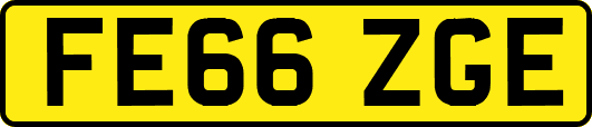FE66ZGE