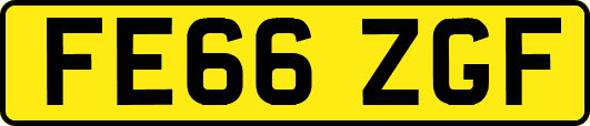 FE66ZGF