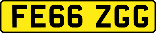FE66ZGG