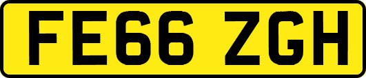 FE66ZGH