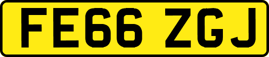 FE66ZGJ