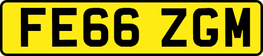FE66ZGM