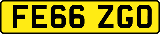 FE66ZGO