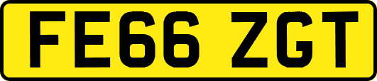 FE66ZGT