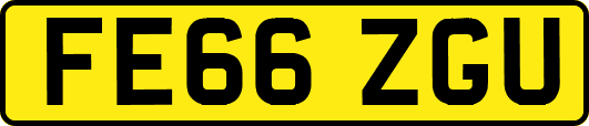 FE66ZGU