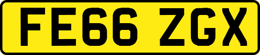 FE66ZGX