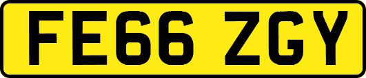 FE66ZGY