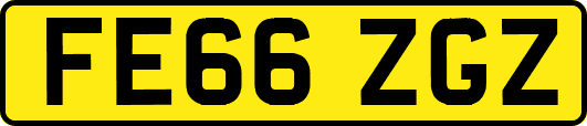 FE66ZGZ