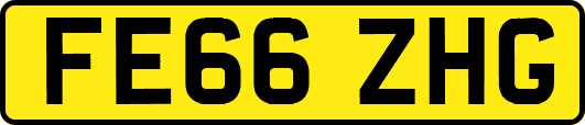 FE66ZHG