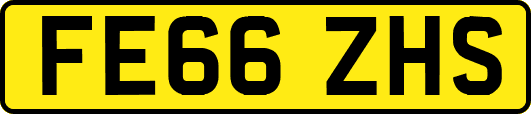 FE66ZHS
