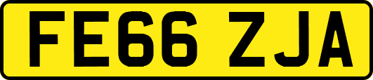 FE66ZJA