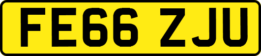 FE66ZJU