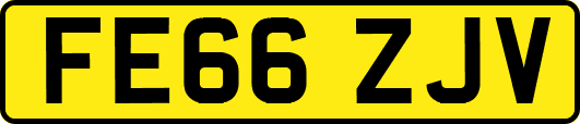 FE66ZJV
