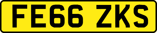 FE66ZKS
