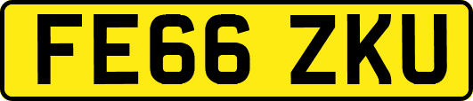 FE66ZKU