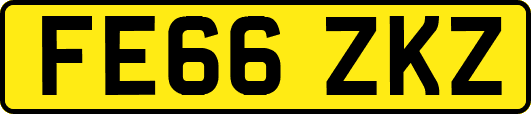 FE66ZKZ