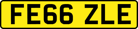 FE66ZLE