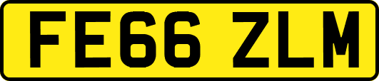 FE66ZLM