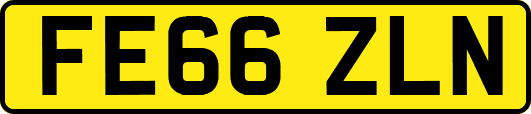 FE66ZLN