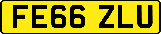 FE66ZLU