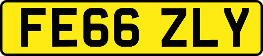 FE66ZLY