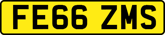 FE66ZMS