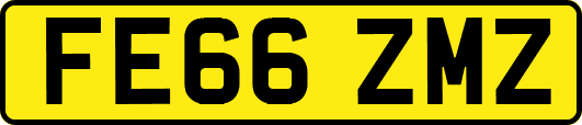 FE66ZMZ