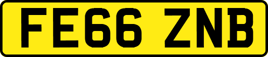 FE66ZNB
