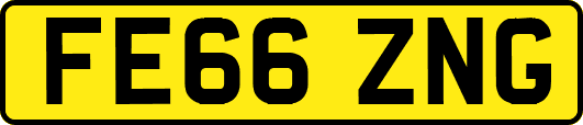 FE66ZNG