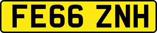FE66ZNH