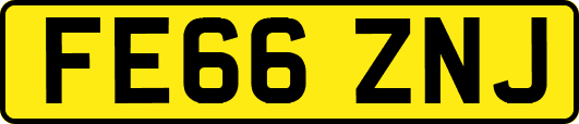FE66ZNJ