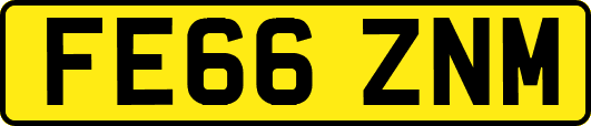 FE66ZNM