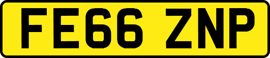 FE66ZNP