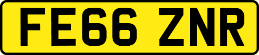 FE66ZNR