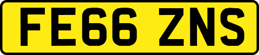 FE66ZNS