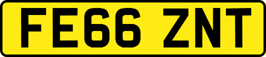 FE66ZNT