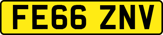 FE66ZNV