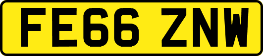 FE66ZNW