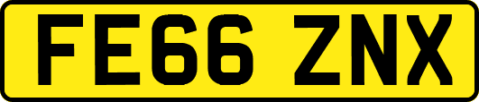 FE66ZNX