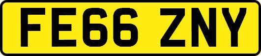 FE66ZNY