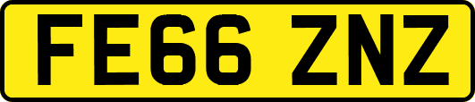 FE66ZNZ
