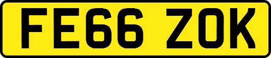 FE66ZOK